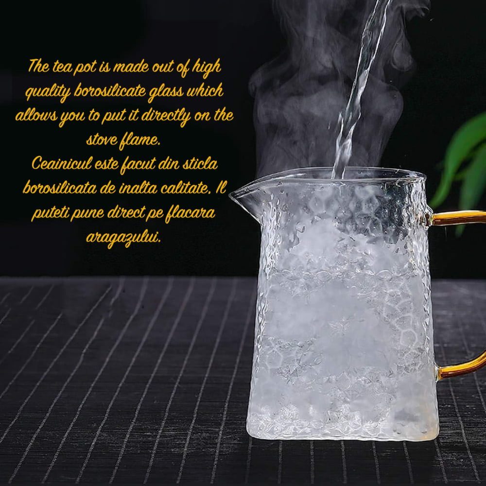 Ceainic, Quasar & Co.®, recipient pentru ceai/cafea cu infuzor si capac, 900 ml, sticla borosilicata/otel inoxidabil, transparent 8 Ceainic, Quasar & Co.®, recipient pentru ceai/cafea cu infuzor si capac, 900 ml, sticla borosilicata/otel inoxidabil, transparent 8